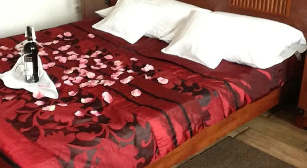 B.A.S Villa Residence Cracovia 3*,